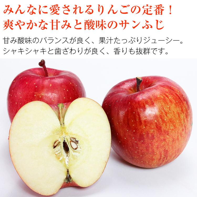 サンふじ 10kg 青森県産 贈答用 りんご 32〜36玉 林檎 リンゴ サンふじ 10kg 青森県産 贈答用 りんご 32〜36玉 林檎 リンゴ