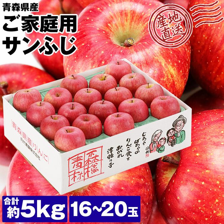 サンふじ 青森県産 ご家庭用 5kg 16〜20玉 りんご リンゴ 林檎 サンふじ 青森県産 ご家庭用 5kg 16〜20玉 りんご リンゴ 林檎