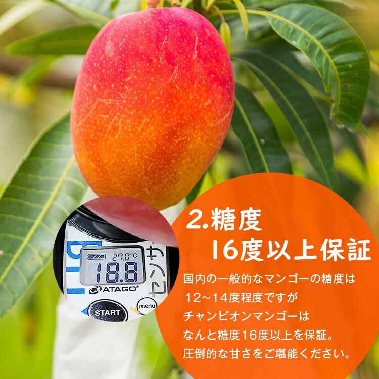 マンゴー 5kg以上 (8ー14玉程度) 台湾産 ピントン産 台湾から直送
