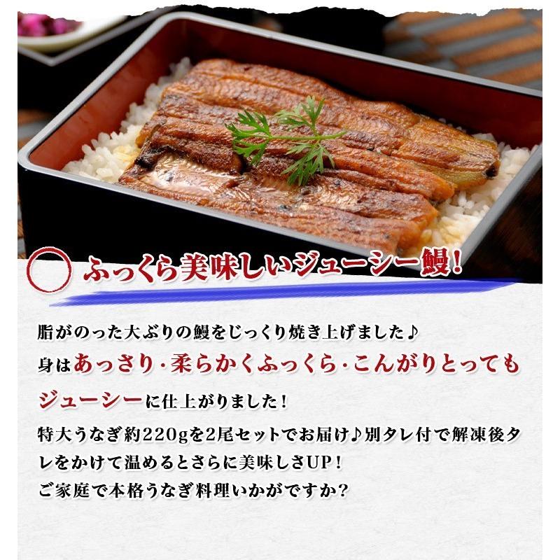 Yahoo!ショッピング - PayPayポイントがもらえる!ネット通販 Yahoo!ショッピング - PayPayポイントがもらえる!ネット通販