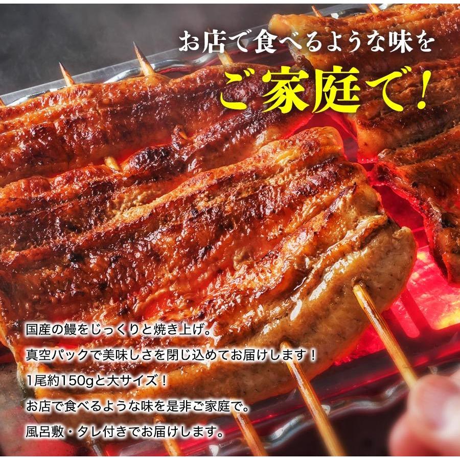 うなぎ 鰻 国産 うなぎ蒲焼き 約150g×2尾 2本 風呂敷包み 鹿児島県産 送料無料 冷凍便 プレゼント :unagi-064:食の達人 お取り寄せ グルメ - 通販 - Yahoo!ショッピング うなぎ 鰻 国産 うなぎ蒲焼き 約150g×2尾 2本 風呂敷包み 鹿児島県産 送料無料 冷凍便 プレゼント :unagi-064:食の達人 お取り寄せ グルメ - 通販 - Yahoo!ショッピング