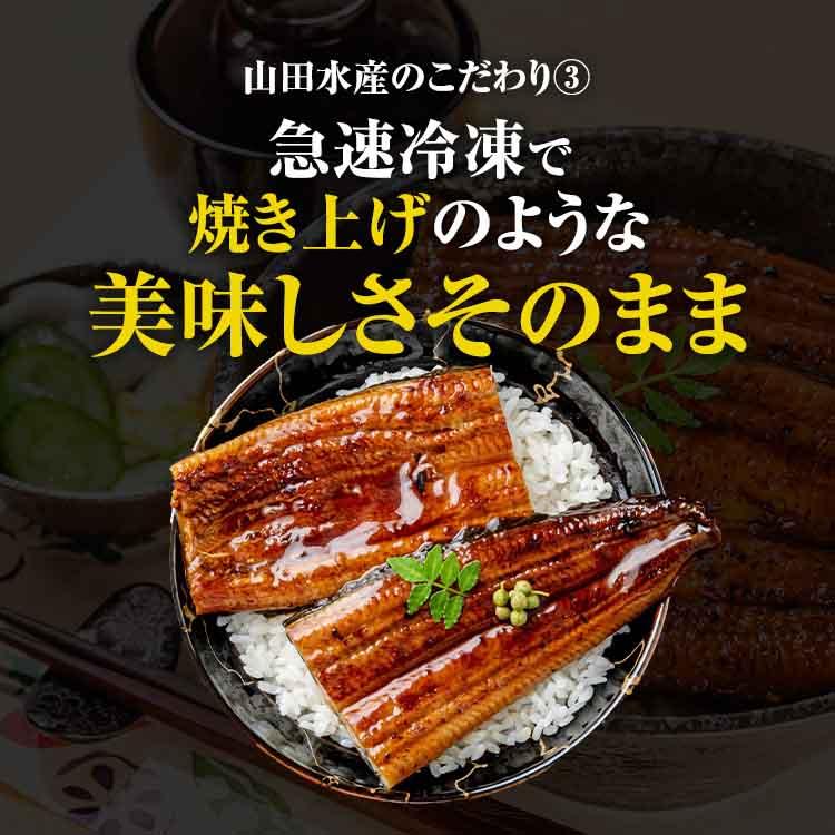 うなぎ 鰻 国産 無投薬 約180g × 3尾 鹿児島県産 ウナギ 蒲焼き 土用丑 山田水産 ギフト お歳暮 お取り寄せグルメ 食品｜shokutatsu｜08