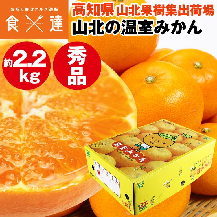 高知産　山北温室みかん 秀 3Sサイズ　約５Kg 高知産 温室山北みかん 約5Kg 3S サイズ 秀品☆ 高知産 山北みかん