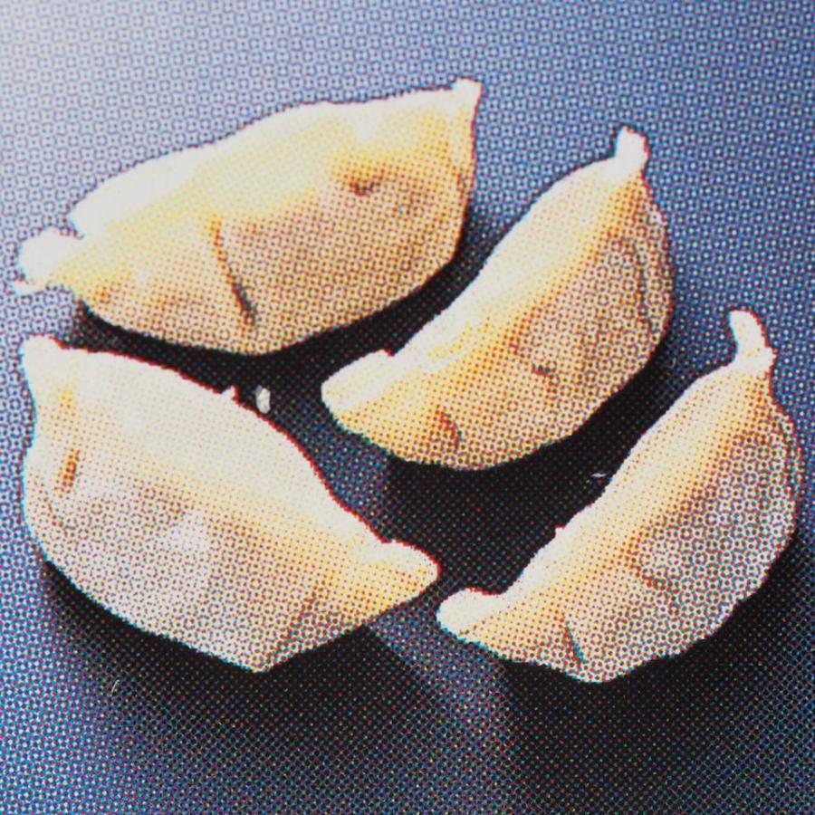 餃子 冷凍 g 400個 1箱 給食 お弁当用 業務用 大冷 400 食材センターyahoo 店 通販 Yahoo ショッピング