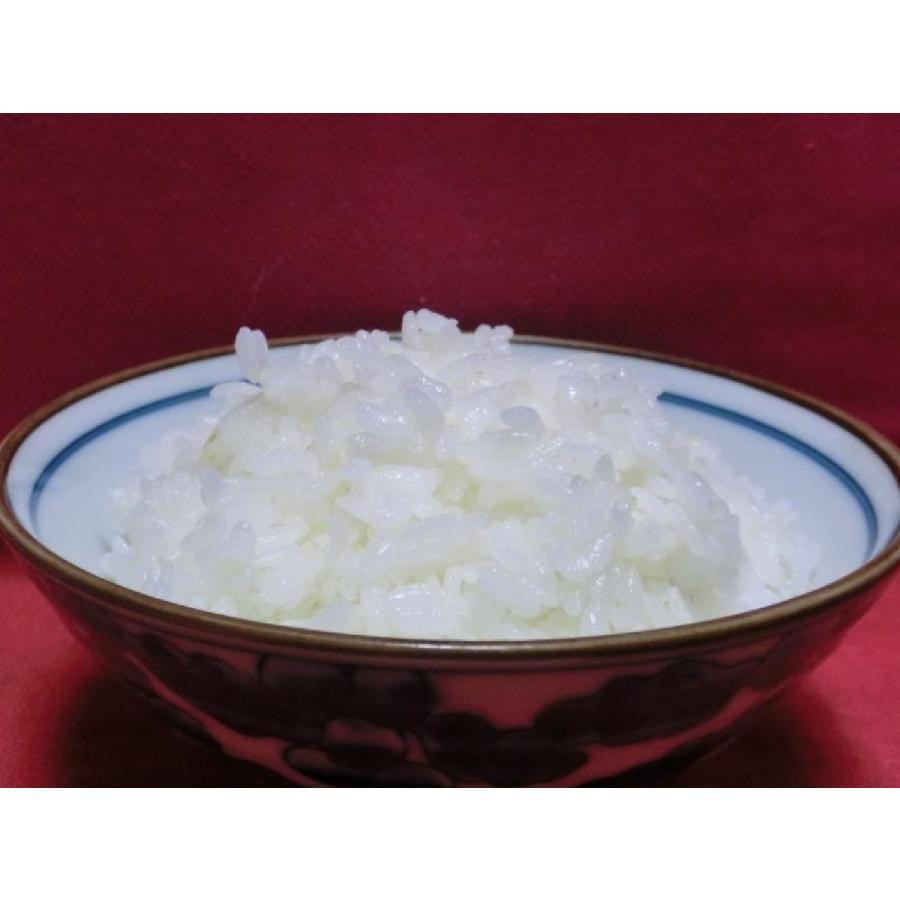 無洗米GABAライス10kg（1kg×10） : お米の食協shop - 通販 - Yahoo