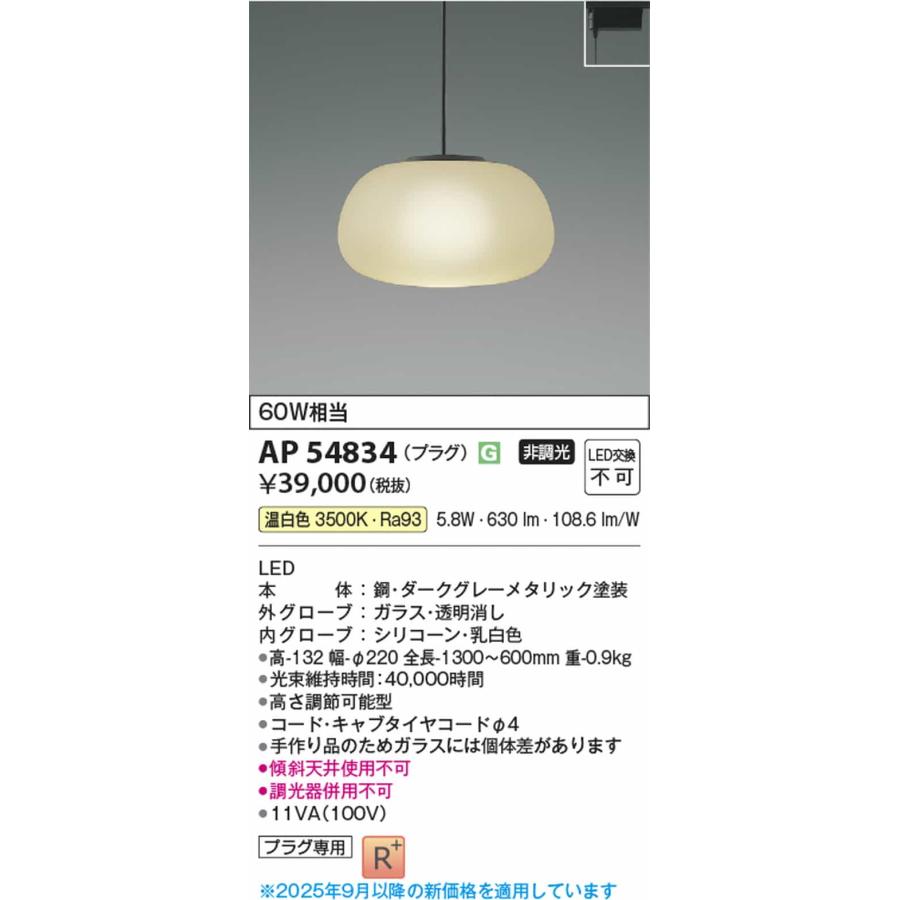 AP54834 コイズミ照明 ペンダントライト 白熱灯器具60W相当 温白色 レール取付専用の画像