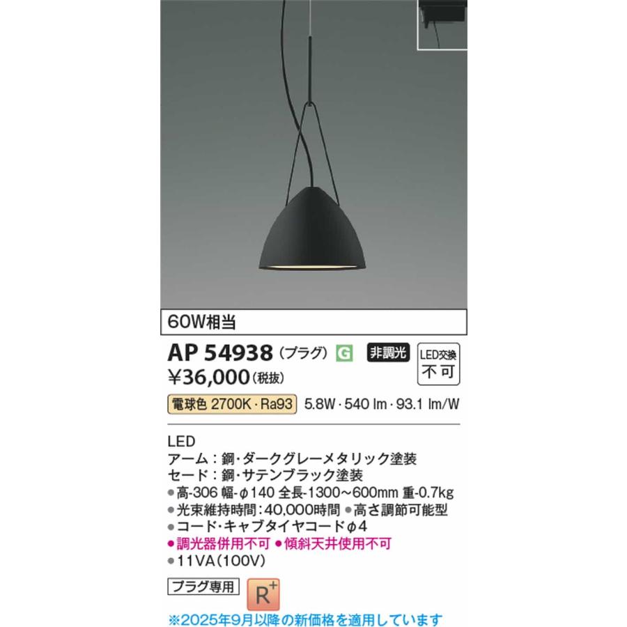 AP54938 コイズミ照明 ペンダントライト 白熱灯器具60W相当 電球色 レール取付専用_1