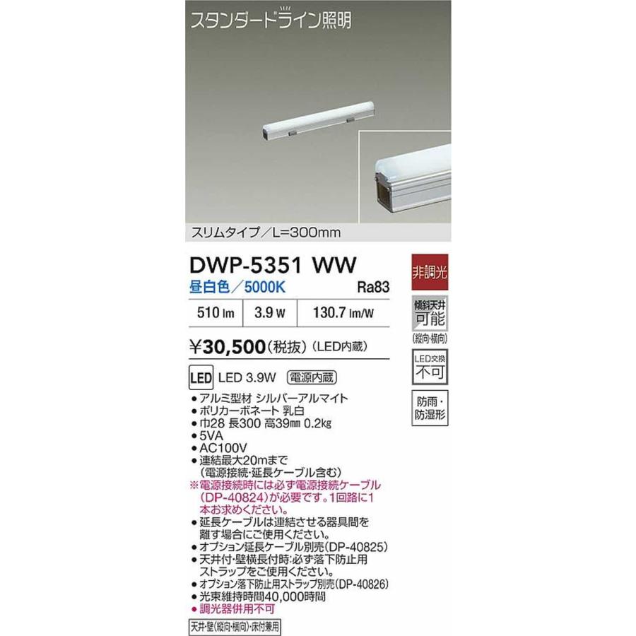 DWP5351WW 大光電機 エクステリア 間接照明 スリムタイプ 全長300mm 昼白色 5000K 防雨防湿型 DWP-5351WWの画像