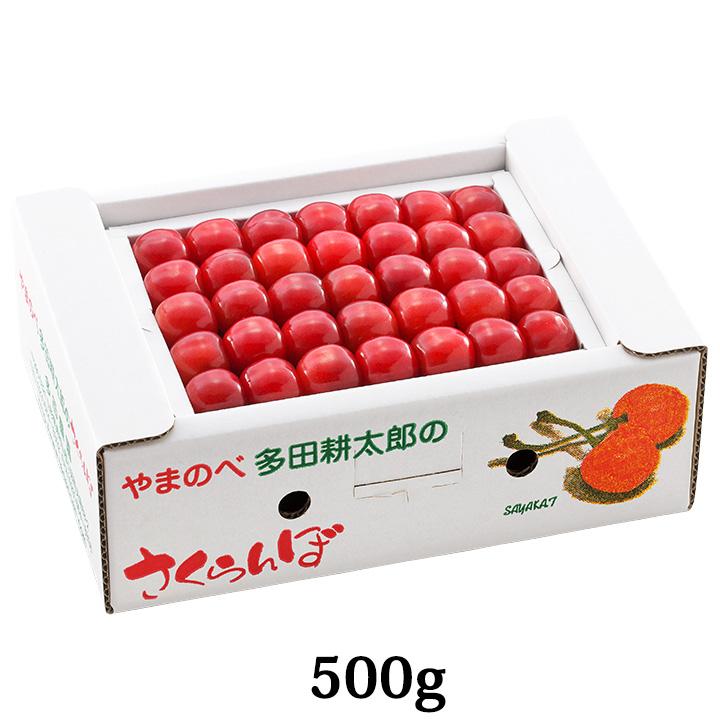 【2024年6月中旬発送予定】さくらんぼ　佐藤錦(露地栽培)　約500g　山形県山辺産　L玉本詰め　6月中旬〜6月下旬発送　産地直送　一部送料無料｜shonai-k-bussankan｜02