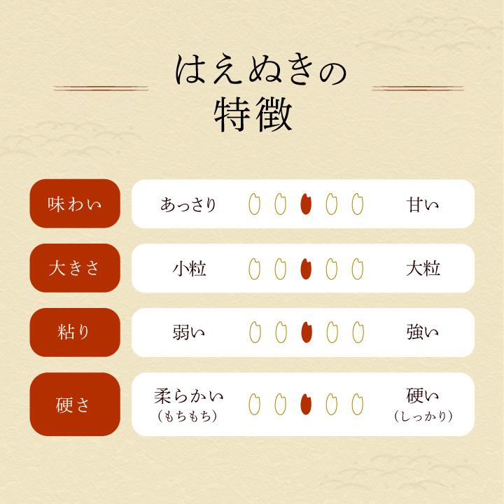 はえぬき 令和7年度産「はえぬき」山形県庄内産 令和7年度産(2025