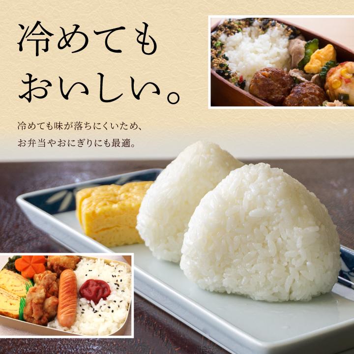 はえぬき 令和7年度産「はえぬき」山形県庄内産 令和7年度産(2025