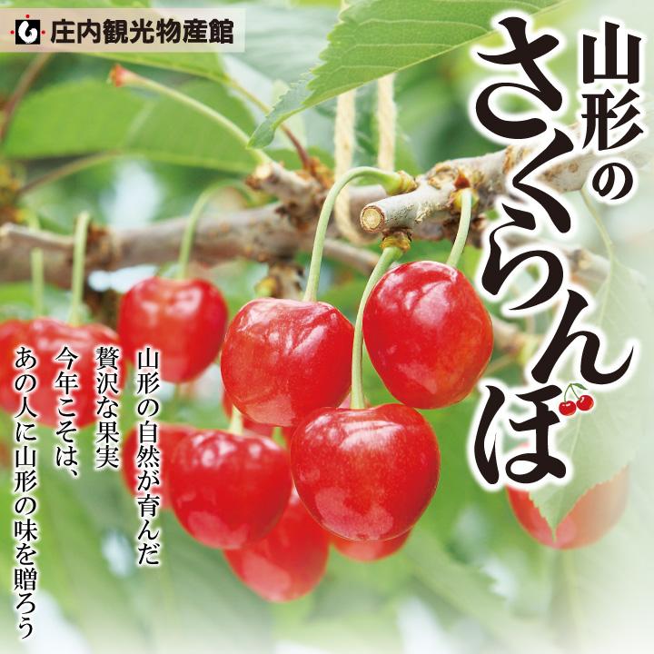 予約販売限定】多田農園「佐藤錦(約700g/桐箱詰め)」(露地栽培 予約販売限定】多田農園「佐藤錦(約700g/桐箱詰め)」(露地栽培