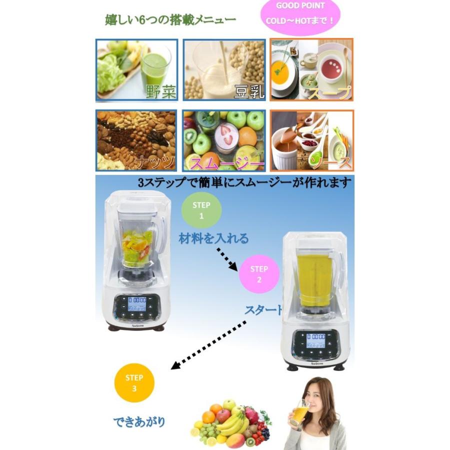 レビューで送料無料 レマコム製品 スムージーブレンダー ロボスムージー Rsb 00 沖縄 北海道 離島は別途送料 100 の保証 Zoetalentsolutions Com
