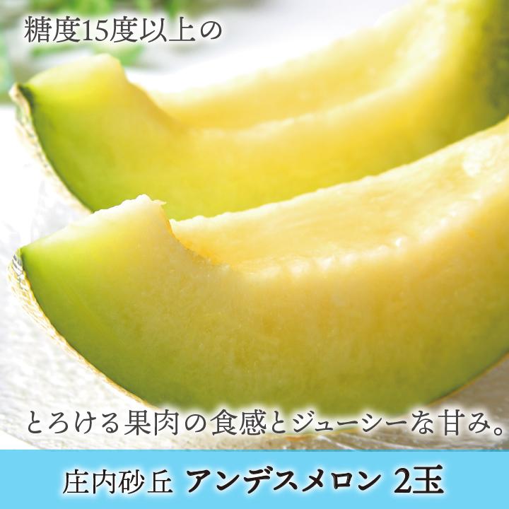 一部送料無料 庄内砂丘アンデスメロン 3l 2玉 化粧箱 山形 土産 フルーツ 御中元 お中元 ギフト 贈答用 お取り寄せ