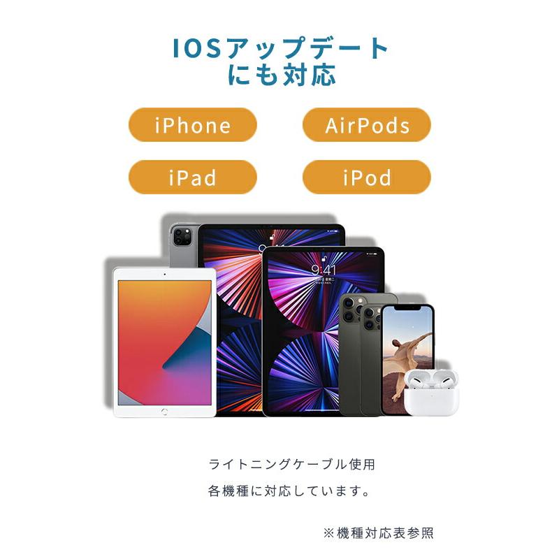 iPhone 充電器 本体 急速 iPhone充電機 iPhone8 スマホ iPhone 充電器 本体 急速 iPhone充電機 iPhone8 スマホ