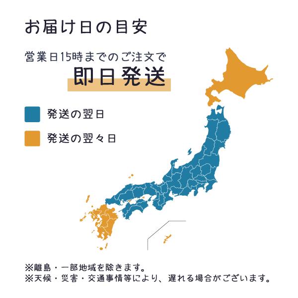 ペンケース シンプル おしゃれ 筆箱 ワンポイント 箔押し 小さめ コンパクト 軽量 日本製 スリムペンケース カジュアル オフィス かわいい 合皮｜shonan-odekake｜10