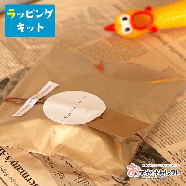 プレゼント 包装プチset ミニギフト 61 以上節約 ラッピング 用 ギフトラッピング Wrapping 誕生日 クリスマス 紙袋 ギフト オプション おしゃれ 袋 ラッピング用品 ギフト用