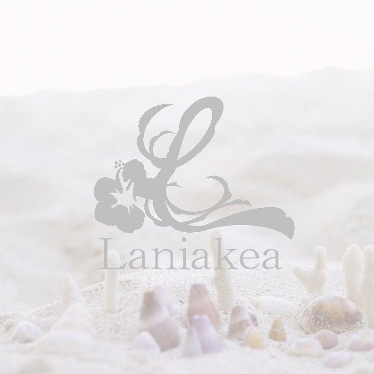 ハワイアンジュエリー バー ネックレス Laniakea ジェントル ウエーブ ゴールド スレンダー バー K10 K18 lfp052_1