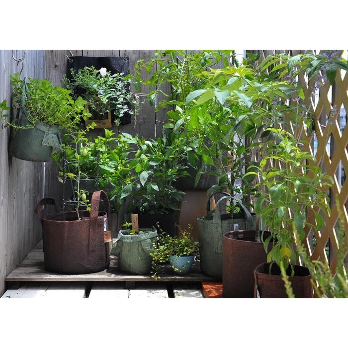 ルーツポーチ 10 Grey 10ガロン Root Pouch ペットボトル リサイクル 天然素材 不織布製 植木鉢 ガーデニング 園芸 10 Ethical Group 通販 Yahoo ショッピング
