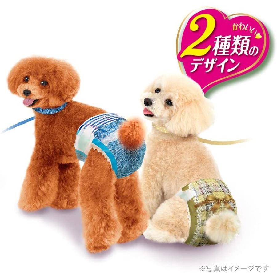 国内取寄せ マナーウェア 犬用 おむつ 女の子用 Ssサイズ 超小型 小型犬用 ベージュチェック デニム 304枚 38枚 8袋 おしっこ ペット用品 ユニチ セール限定 Razzaqassociates Com
