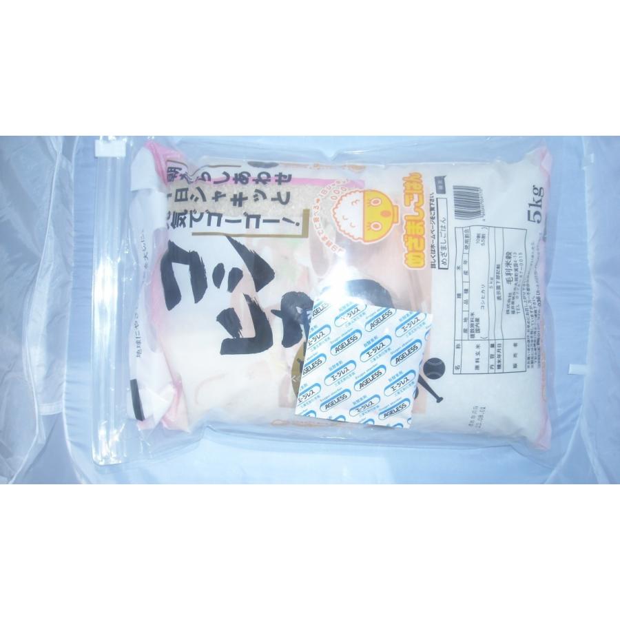 衣類・食品の保存袋 虫キラーS(3枚セット) 米5kg保存可能 9953