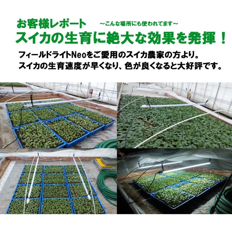 Pse取得品 Neo Led Ip65 防水 直管 プラグ付 蛍光灯 パイプライト 作業灯 投光器 工事不要 コンセント Ac 軽量 18w 40w型 昼光色 6000k フィールドライト 園芸 Fln 16w4k 00 Led照明と節電の あかりや 通販 Yahoo ショッピング