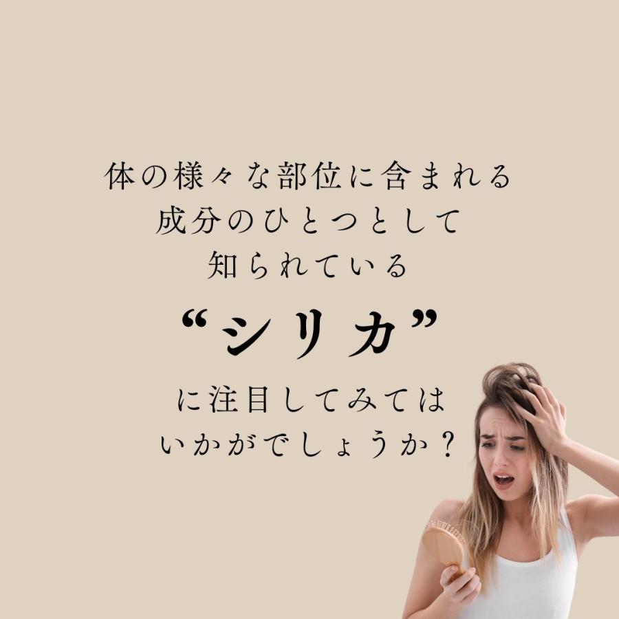 ワタシミスト 化粧水 美髪 つや髪 ミストスプレー 200ml シリカ 超 純