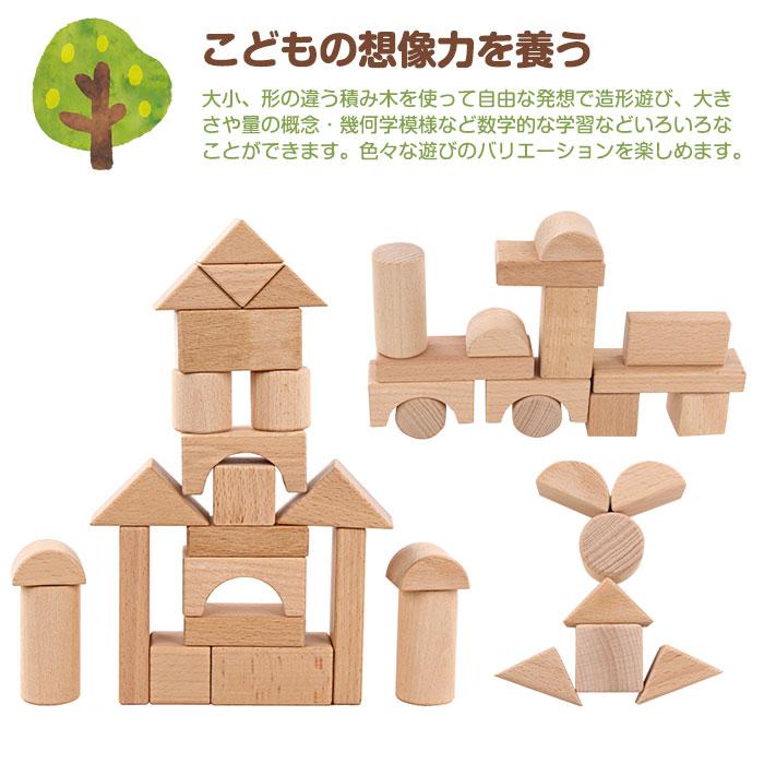 積み木 22ピース 木製 天然木 面取り加工済み 保育園 幼稚園 学習 知育