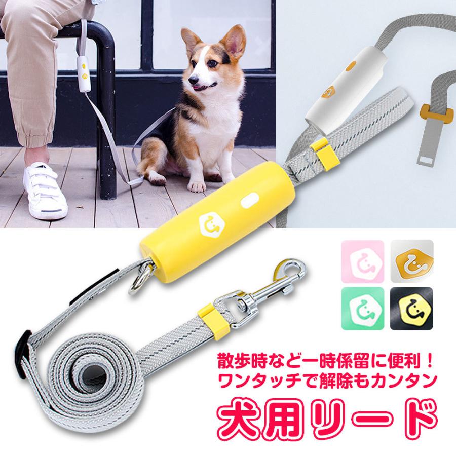 小型犬 中型犬用 リード 長さ約2m 差し込み式 一時係留 簡単 リーシュ 愛犬 散歩時 お出かけ ペット用品 アクセサリー お出かけ 待機 R 14n Shop Always 通販 Yahoo ショッピング
