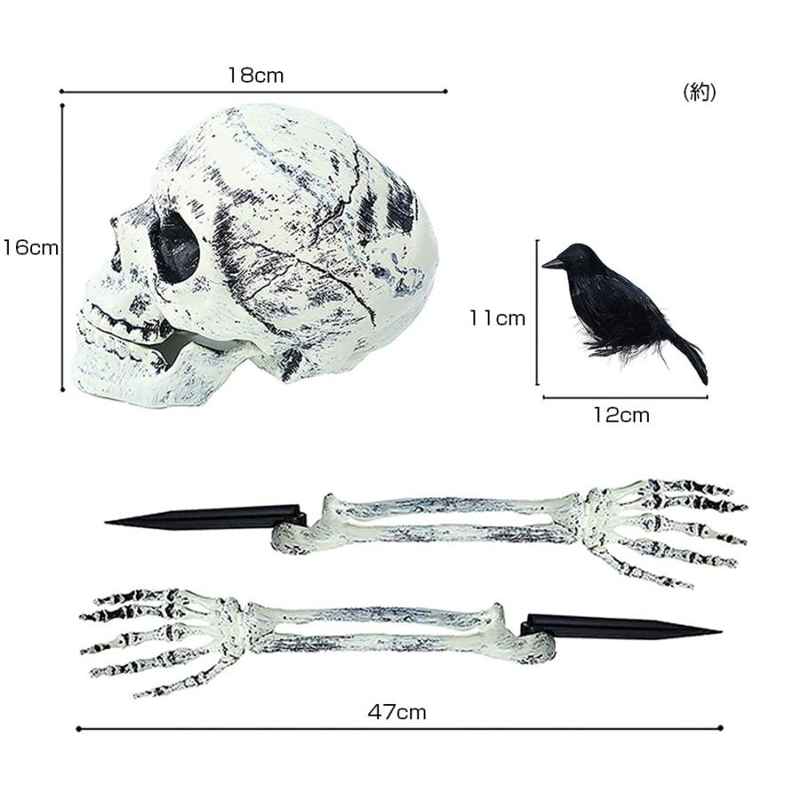 ハロウィン 飾り パーティーグッズ 骸骨 頭 腕 カラス 計4点セット ドクロ ガイコツ 頭 アーム ハロウィーン 装飾 ドッキリ おもちゃ｜shop-always｜04
