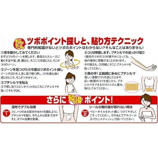プチシルマスーパーDX大粒7mmX10粒 ＋ 替えプラスター500枚付