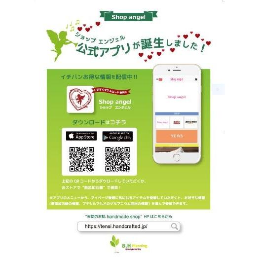 レダシルマ B2 ダイヤモンドネックレス プチシルマのジュエリー