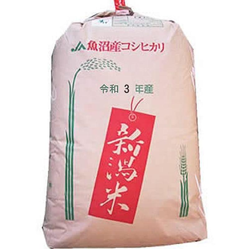 店舗在庫/即納 【玄米】新潟県 魚沼産 玄米 JA十日町 こしひかり 1等 30kg (長期保存包装) 令和3年産 新米 アウトレット 口コミ -superavila.com 店舗在庫/即納 【玄米】新潟県 魚沼産 玄米 JA十日町 こしひかり 1等 30kg (長期保存包装) 令和3年産 新米 アウトレット 口コミ -superavila.com