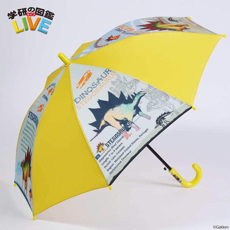 学研ライブ 恐竜 子供用雨傘 ステゴサウルス転写プリント 子供用傘 50cm イエロー 現金特価