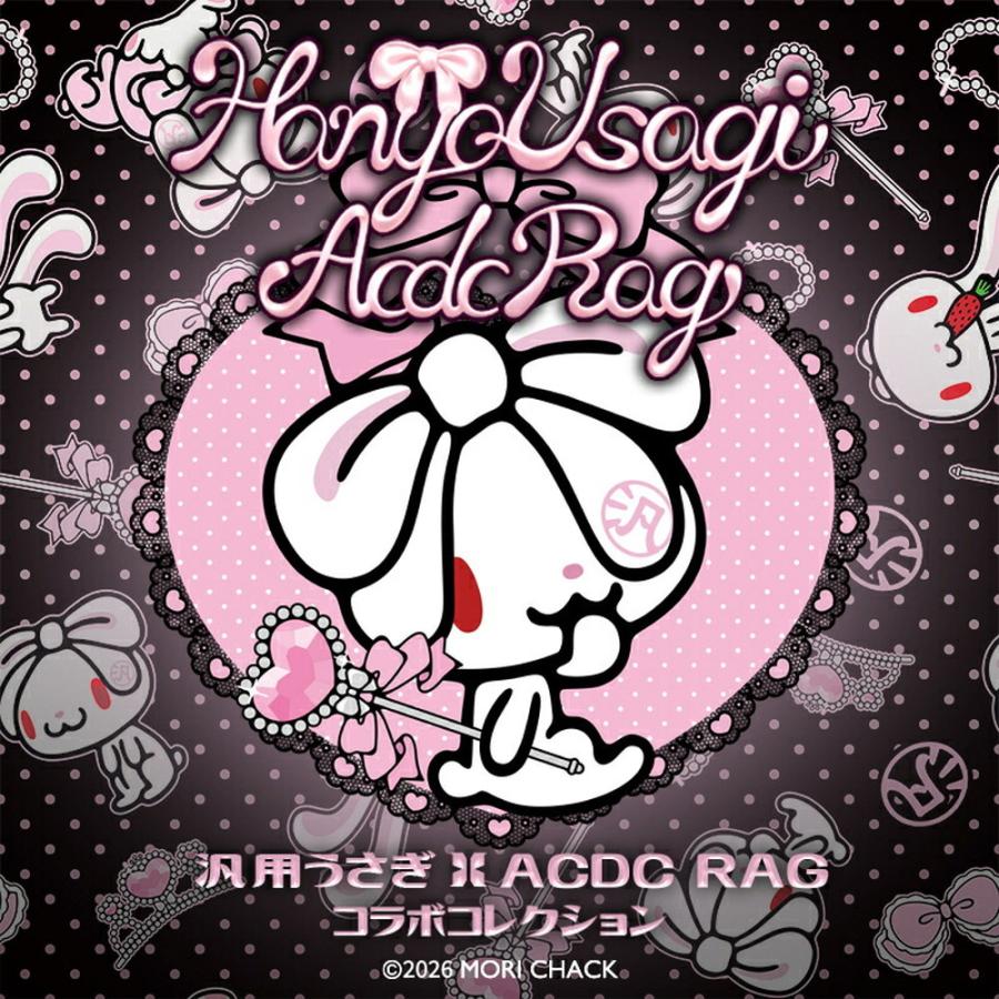 Vkei harajuku punk y2k ピンクうさ耳パーカー ボーダー ACDC RAG エーシーディーシーラグ 汎用うさぎ パーカー 袖