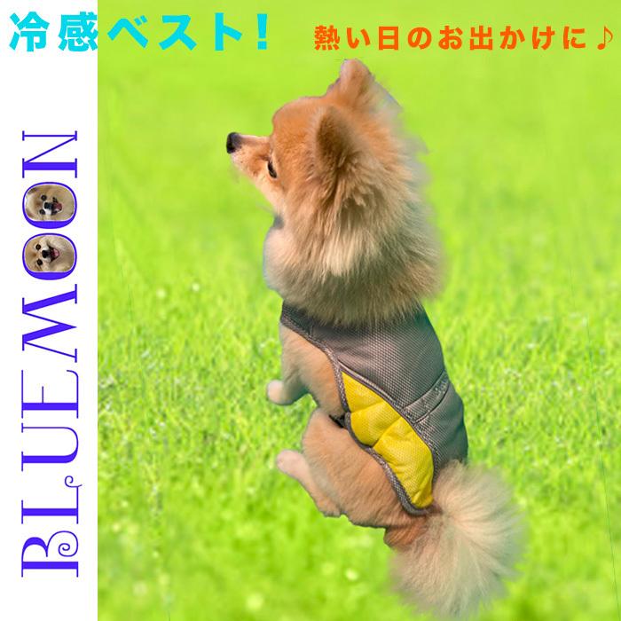 ペット服 犬服 冷感ベスト クールベスト メッシュ お出かけ用 通気 熱中症対策 速乾 超冷感 散歩 ブルームーン 通販 Yahoo ショッピング