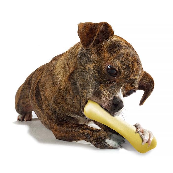 犬 おもちゃ Petstages（ペットステージ）デンタルケア チキン・ボーン
