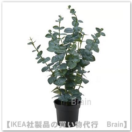 イケア（IKEA） FEJKA/フェイカ 人工観葉植物65 cm ユーカリ(006.152