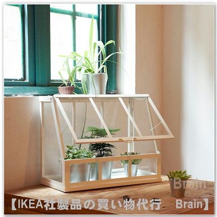 イケア IKEA/イケア AKERBAR/オーケルベール 温室45 cm イケア IKEA/イケア AKERBAR/オーケルベール 温室45 cm
