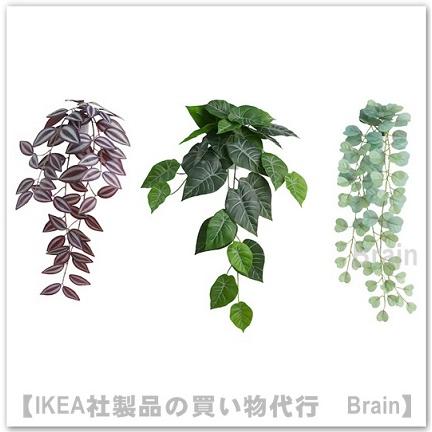 イケア（IKEA） FEJKA/フェイカ 人工観葉植物/ウォールホルダー付き 3