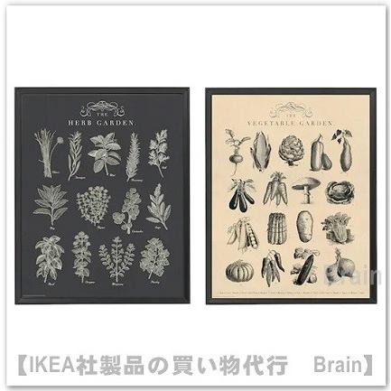 イケア（IKEA） KNOPPANG/クノッペング フレーム ポスター付き40x50 cm