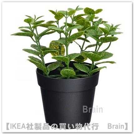 イケア（IKEA） FEJKA/フェイカ 人工観葉植物9 cm ミント(206.008.69 