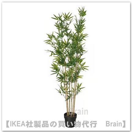 イケア（IKEA） FEJKA/フェイカ 人工観葉植物180cm 竹(206.106.08