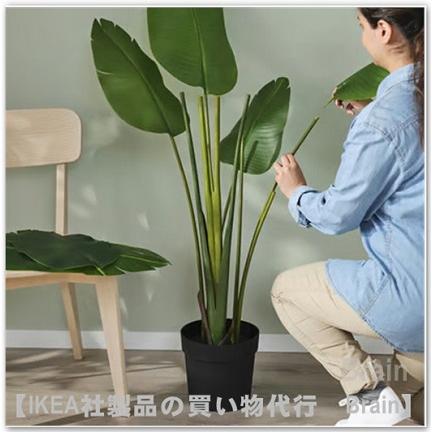 イケア（IKEA） FEJKA/フェイカ 人工観葉植物180cm ゴクラクチョウカ