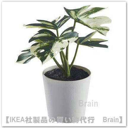 ⁠極美品　IKEA イケア 人工観葉植物 カラテア 編みカゴ　フェイクグリーン イケア（IKEA） FEJKA/フェイカ 人工観葉植物 鉢カバー付き14 cm