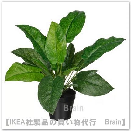 IKEA FEJKA フェイカ40枚 イケア（IKEA） FEJKA/フェイカ 人工観葉植物40 cm カラテア(406.008