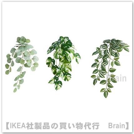 イケア（IKEA） FEJKA/フェイカ 人工観葉植物/ウォールホルダー付き 3