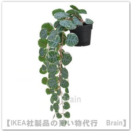 イケア（IKEA） FEJKA/フェイカ 人工観葉植物/つり下げ型41 cm ハート