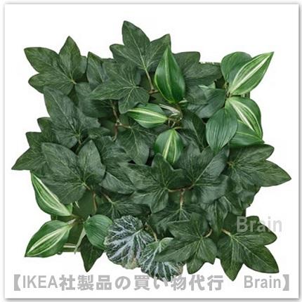 イケア（IKEA） FEJKA/フェイカ 人工観葉植物/壁取り付け型25x25 cm