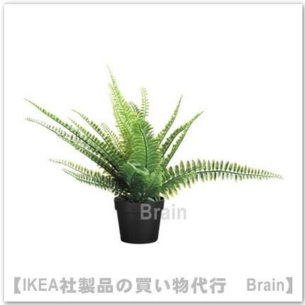 ｉｋｅａ イケア Fejka 人工観葉植物34 Cm アビス Selectshop Brain 通販 Yahoo ショッピング